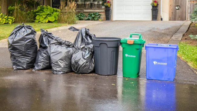 Garbage bags, garbage bin, compost bin and blue box lined up at the edge of a driveway