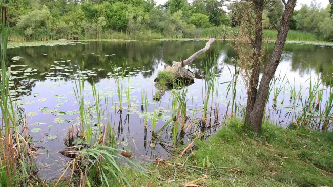 a stormwater pond in vaughan