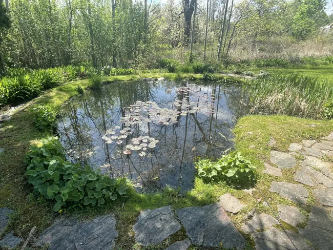 Picture 20