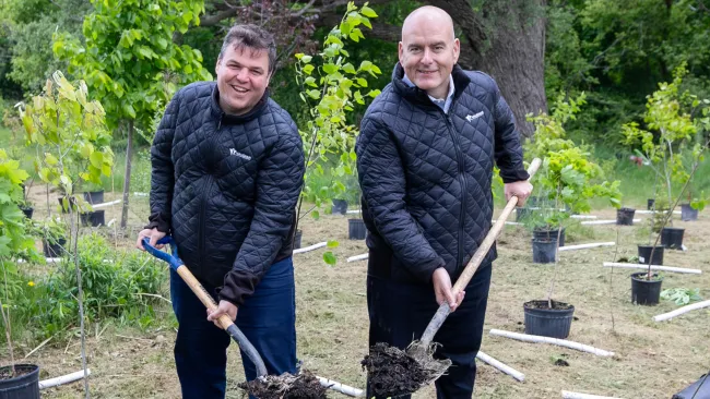 Tree planting