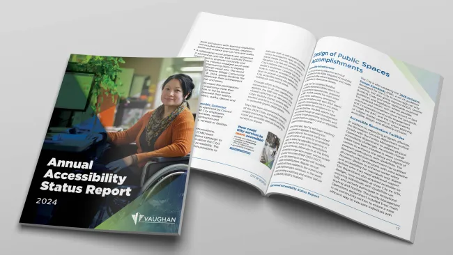 2024 Accessibility Report
