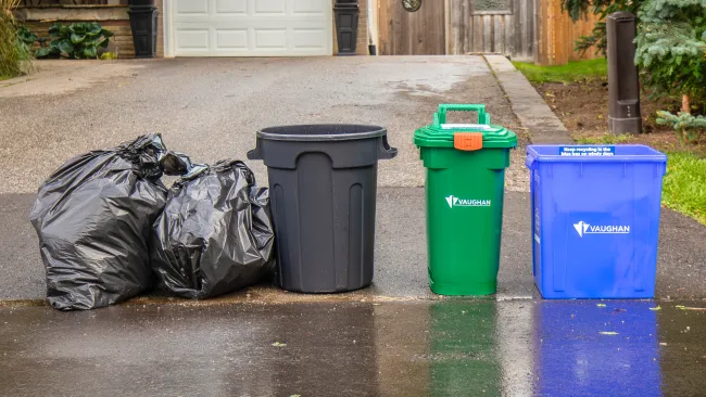 Garbage bags and waste bins at the curbside