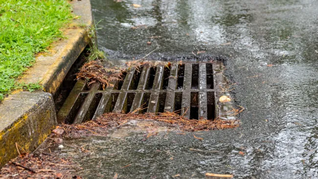 Branches and debris on a catch basin