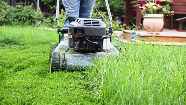 City-wide grass-cutting is underway!