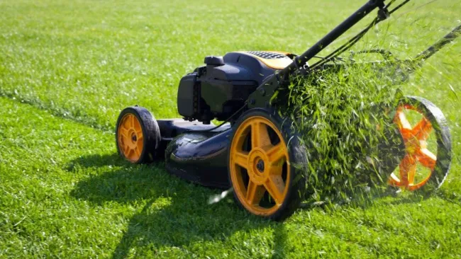 lawn mower cutting grass