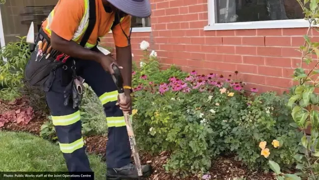 Ask a Gardener series 