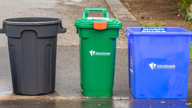 garbage bin, green bin and blue box next to each other at curb