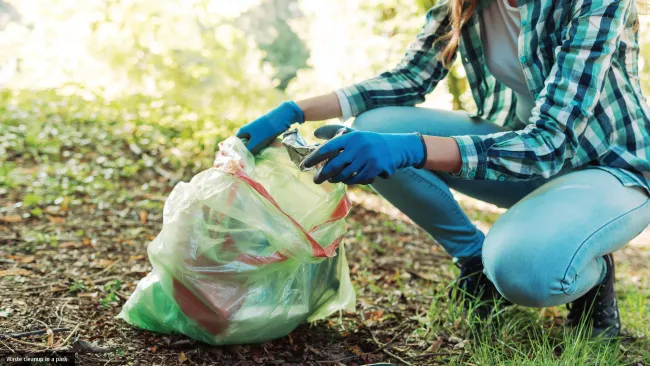 Cleanup program