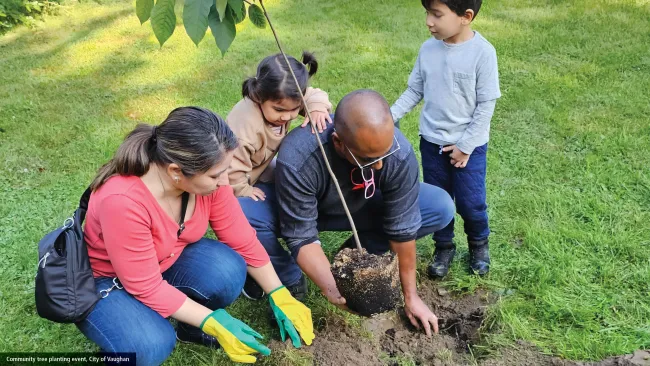 Tree planting