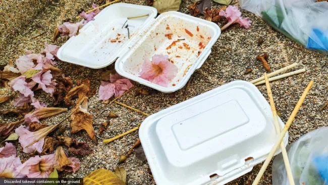 food container