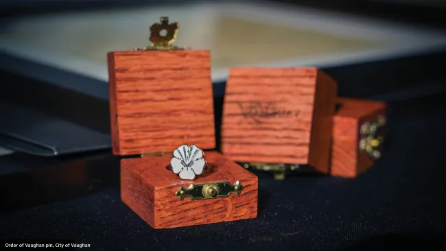 order of Vaughan pin