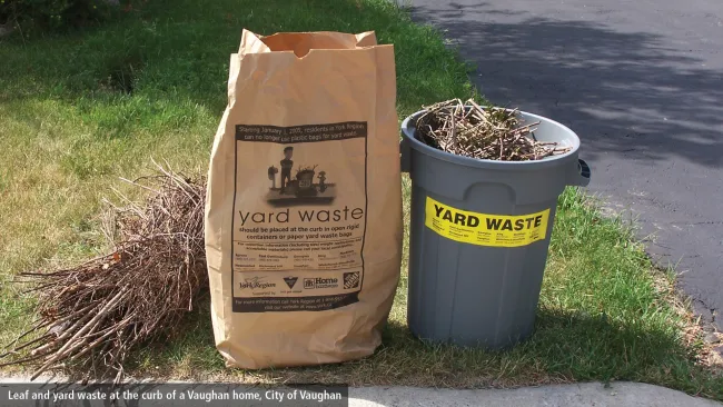 yard waste bags at the curbside 