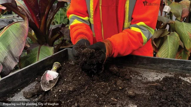 Get the ‘dirt’ on healthier soil