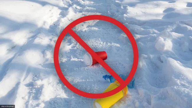 no litter