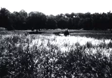 Image of an untouched field at the Barker archaeological site prior to excavation