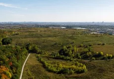 View of NMRP wetlands and former landfill sites, 2019.