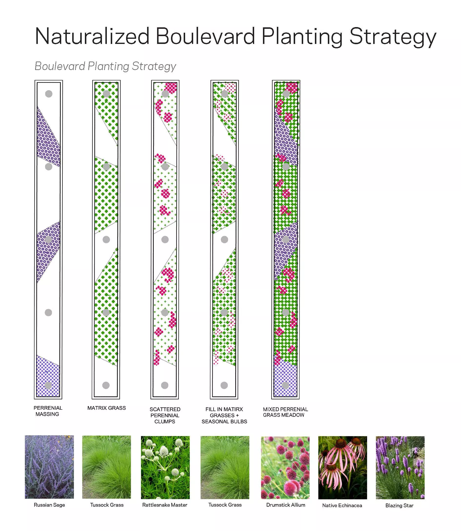 Meadow Matrix Streetscape