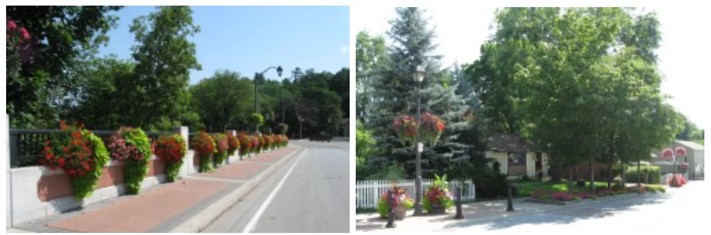 Hanging Baskets and Flowers