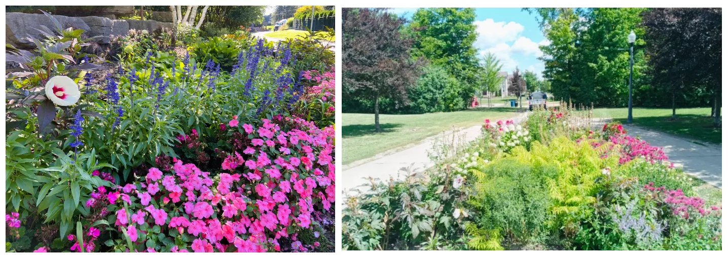 Shrub Beds