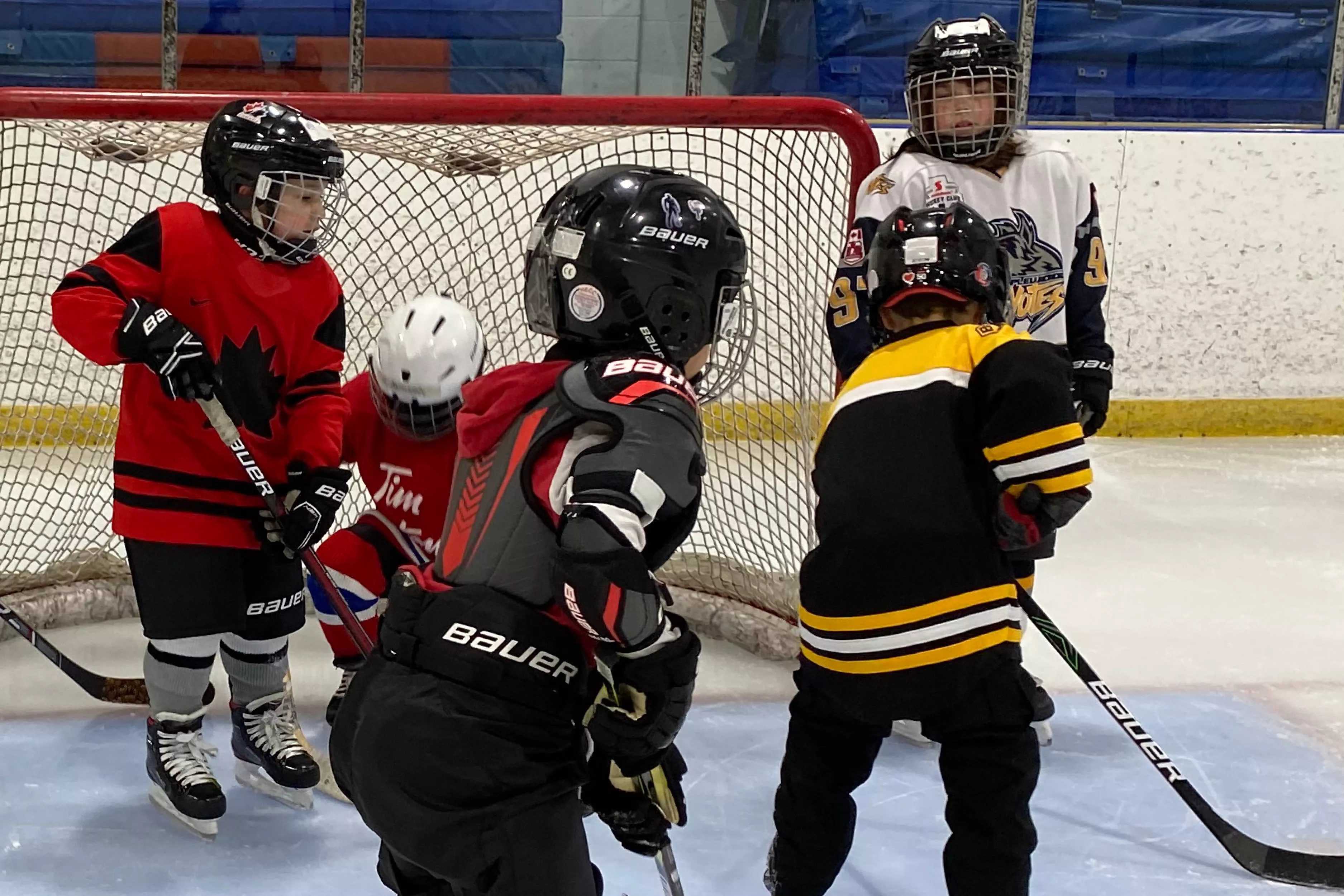 Skating Hockey