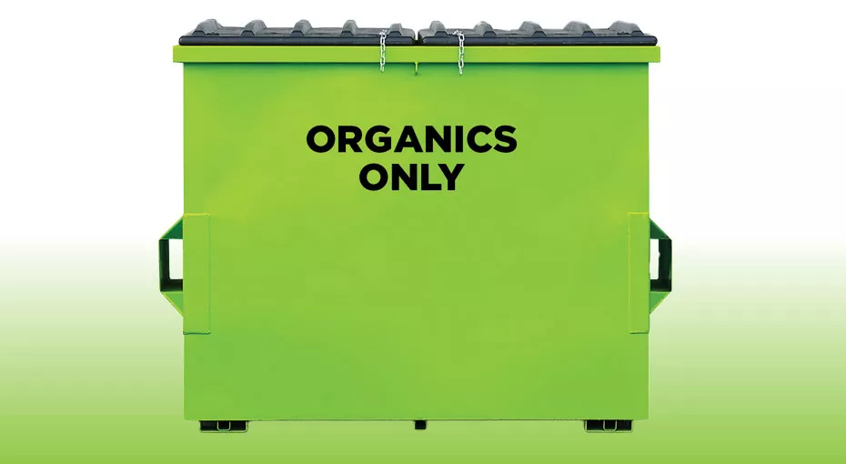 a green bin
