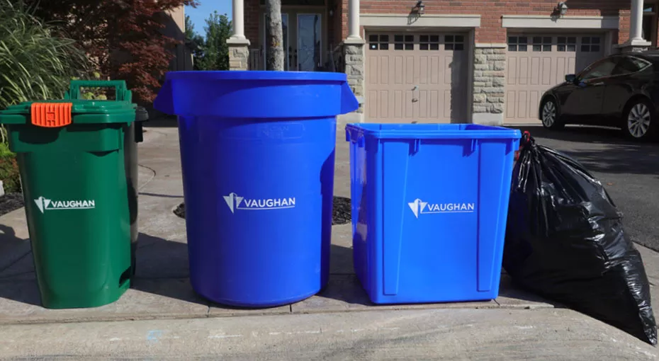 one garbage bag, two blue boxes and one green bin curbside