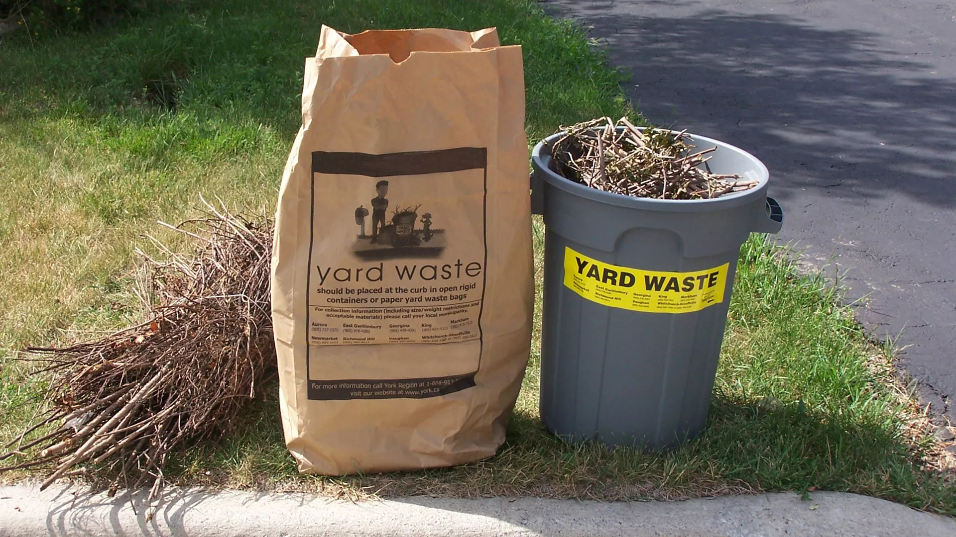 leaf and yard waste bags and bin at the curb