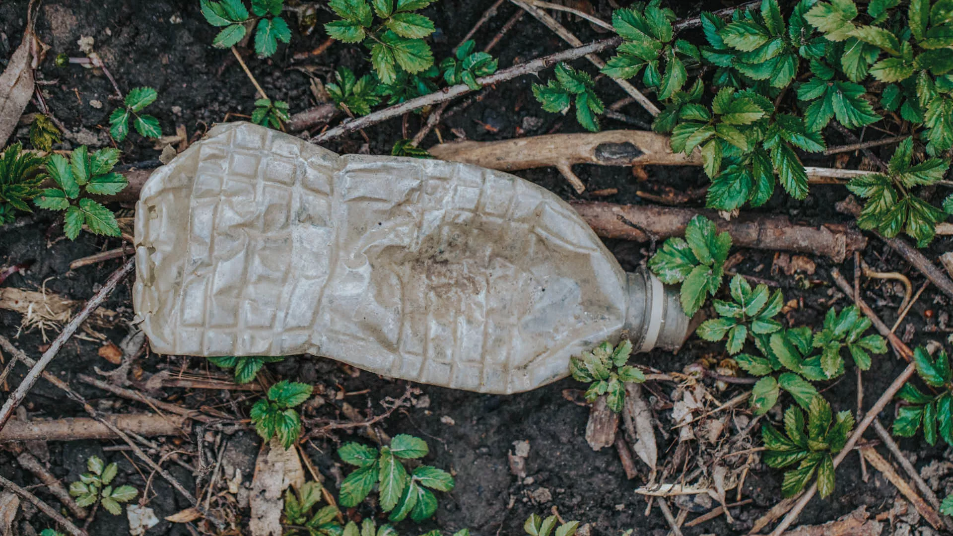 Plastic water bottle on the ground