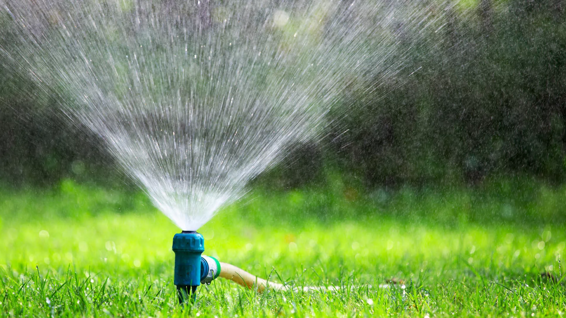 a sprinkler