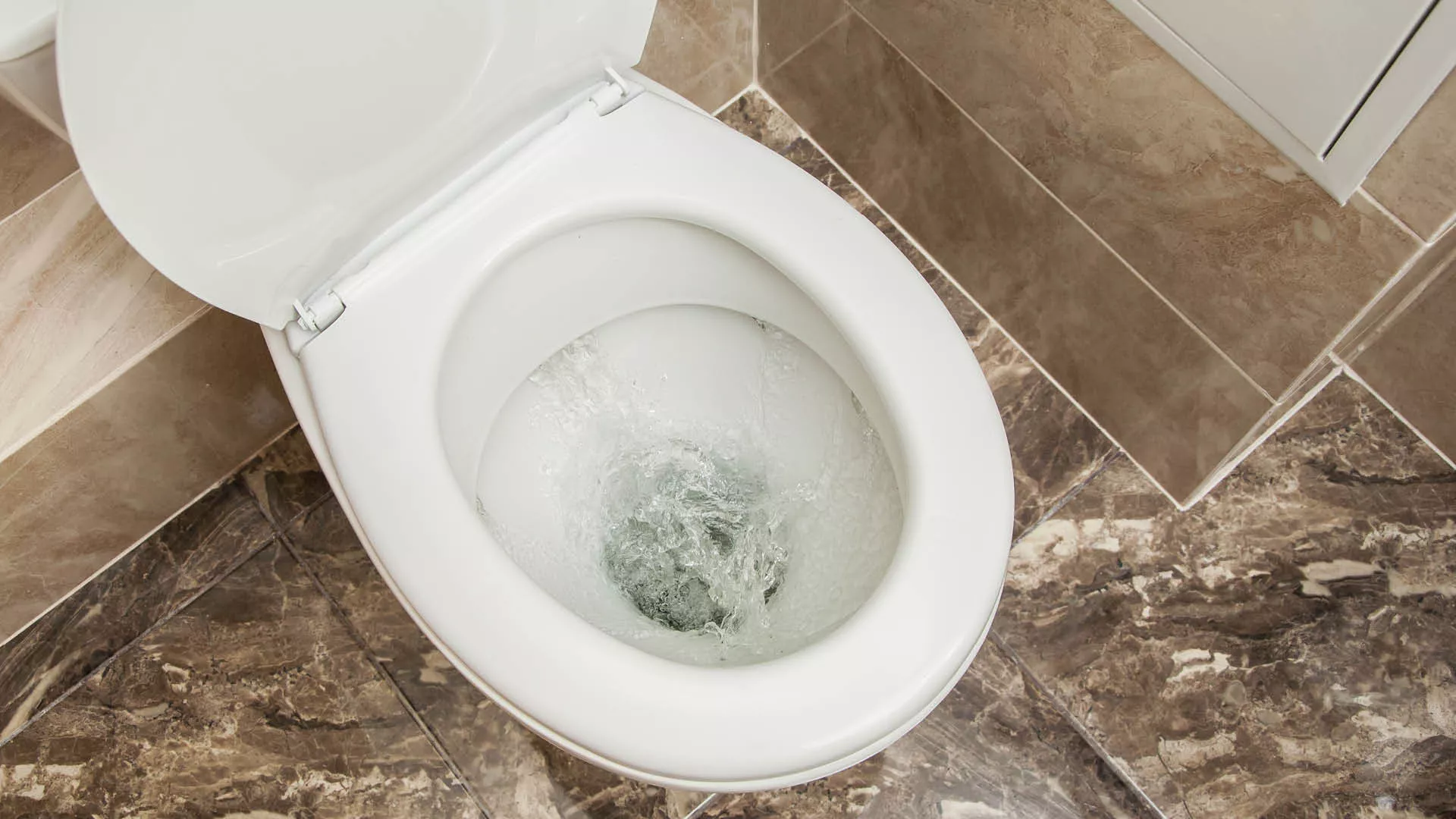 toilet