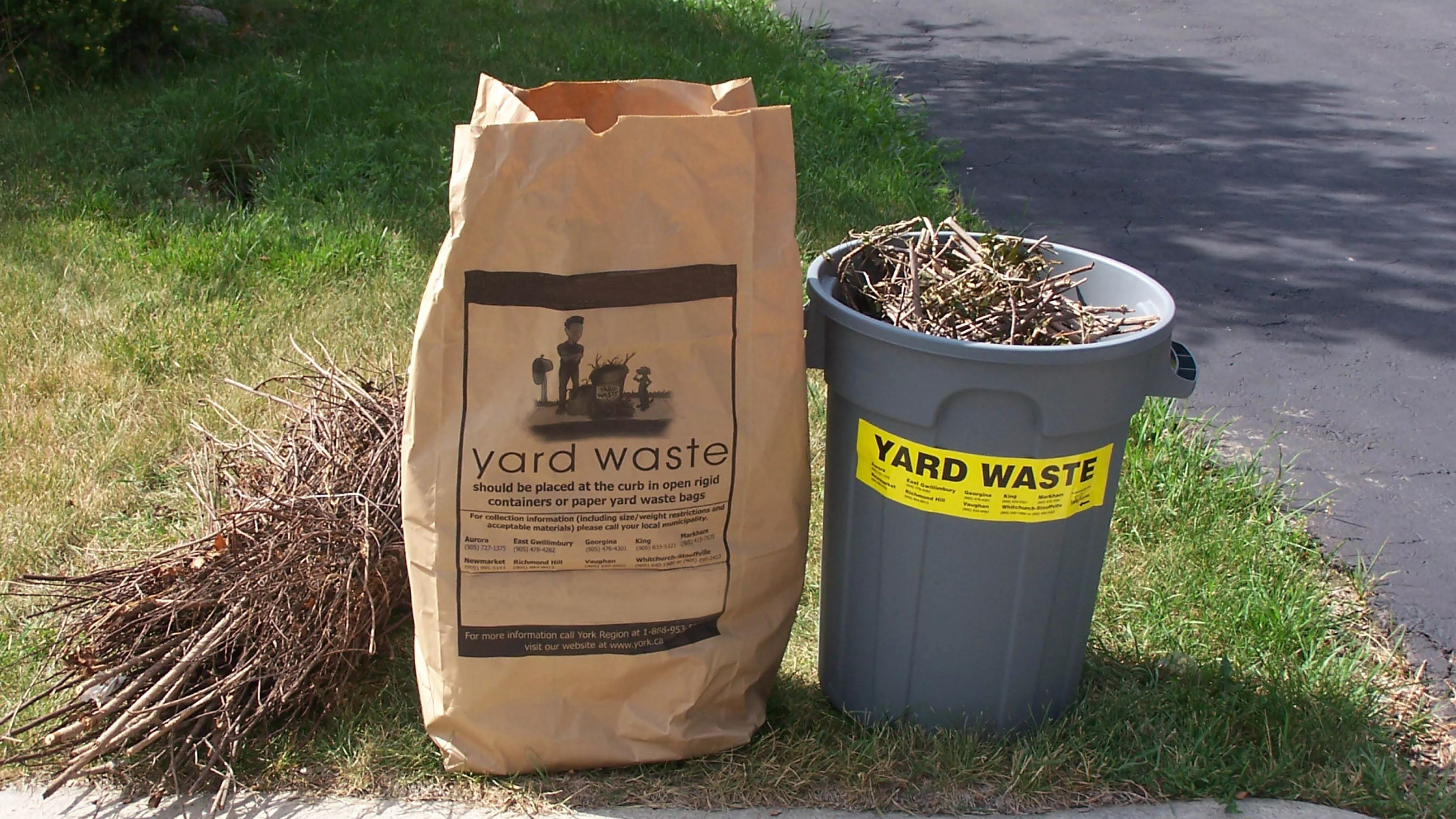 leaf and yard waste bag and bin on grass