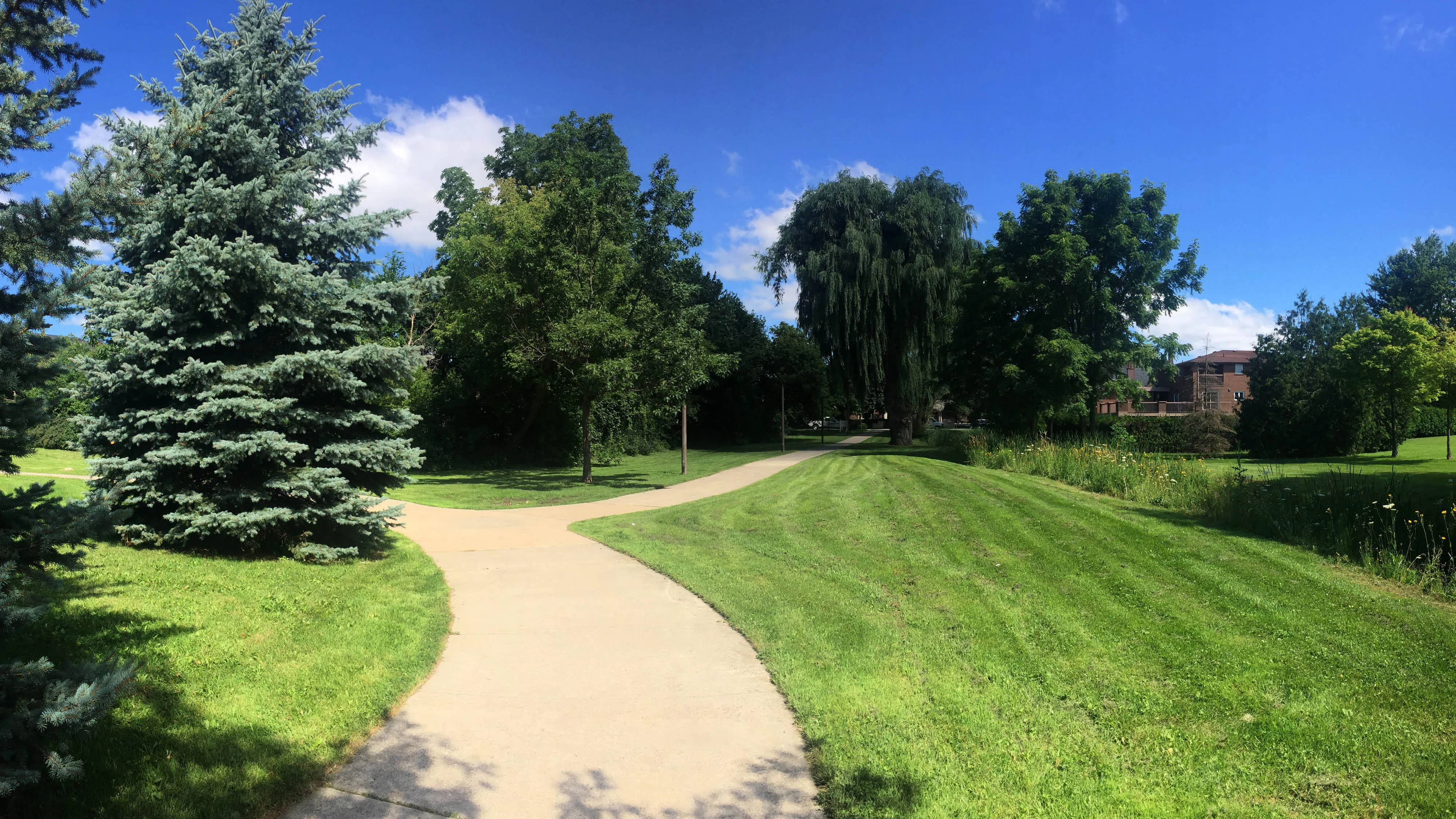 Greenspace in Vaughan