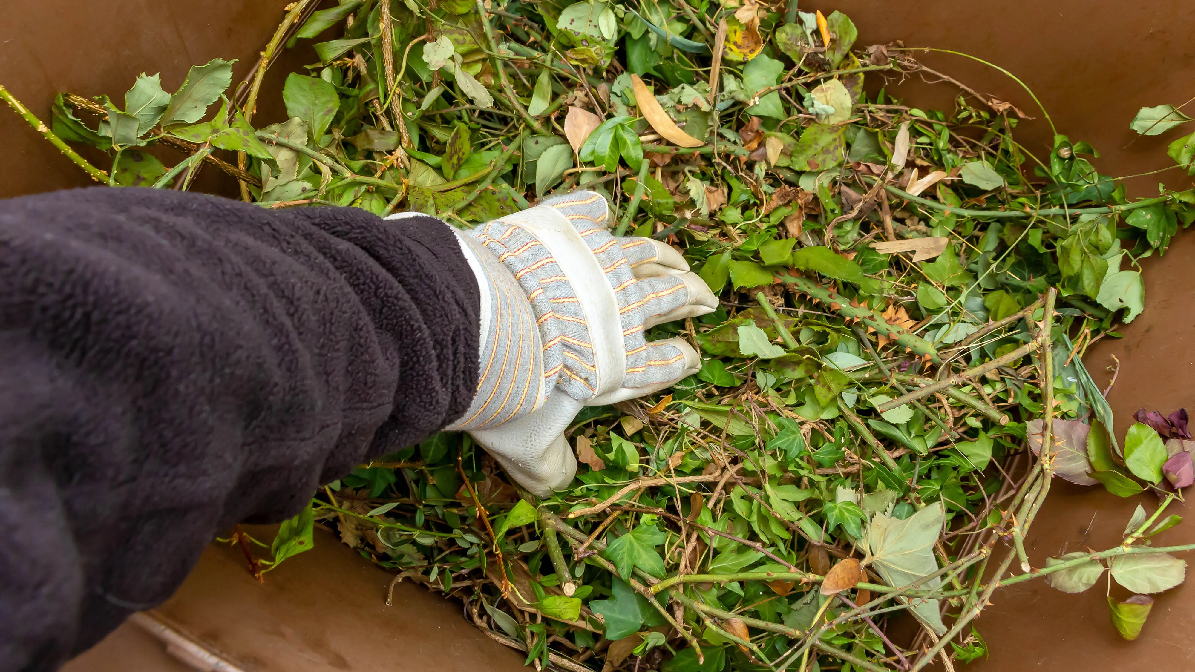 yard waste materials in a paper bag