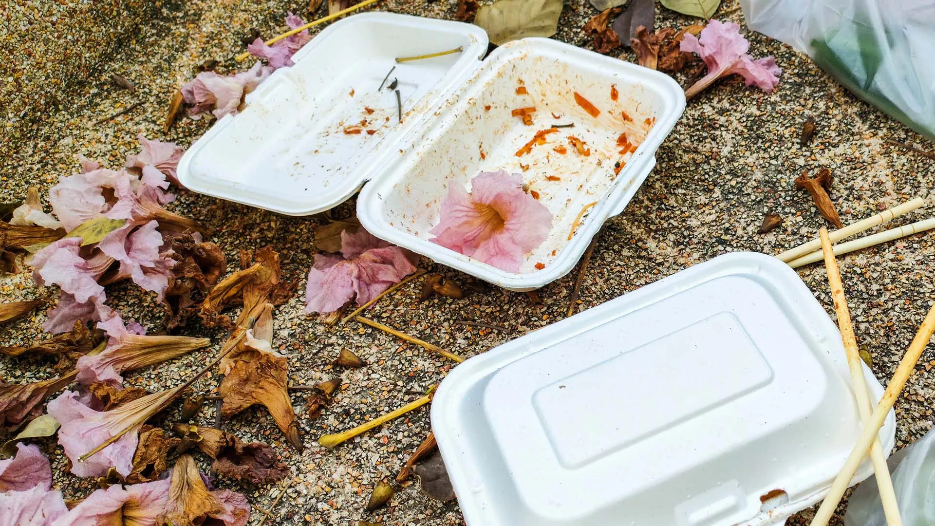 Littered takeout containers