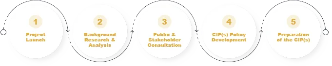 Five circles indicating the five stages of the CIP. 1: Project Launch, 2: Background research and analysis, 3: Public and stakeholder consultation, 4: CIP(s) policy development, 5: preparation of the CIP(s). Buttons below indicating ongoing project management including: biweekly project meetings, scheduling meetings, action items and minute-taking, update project communications, coordinating and managing sub-consultants
