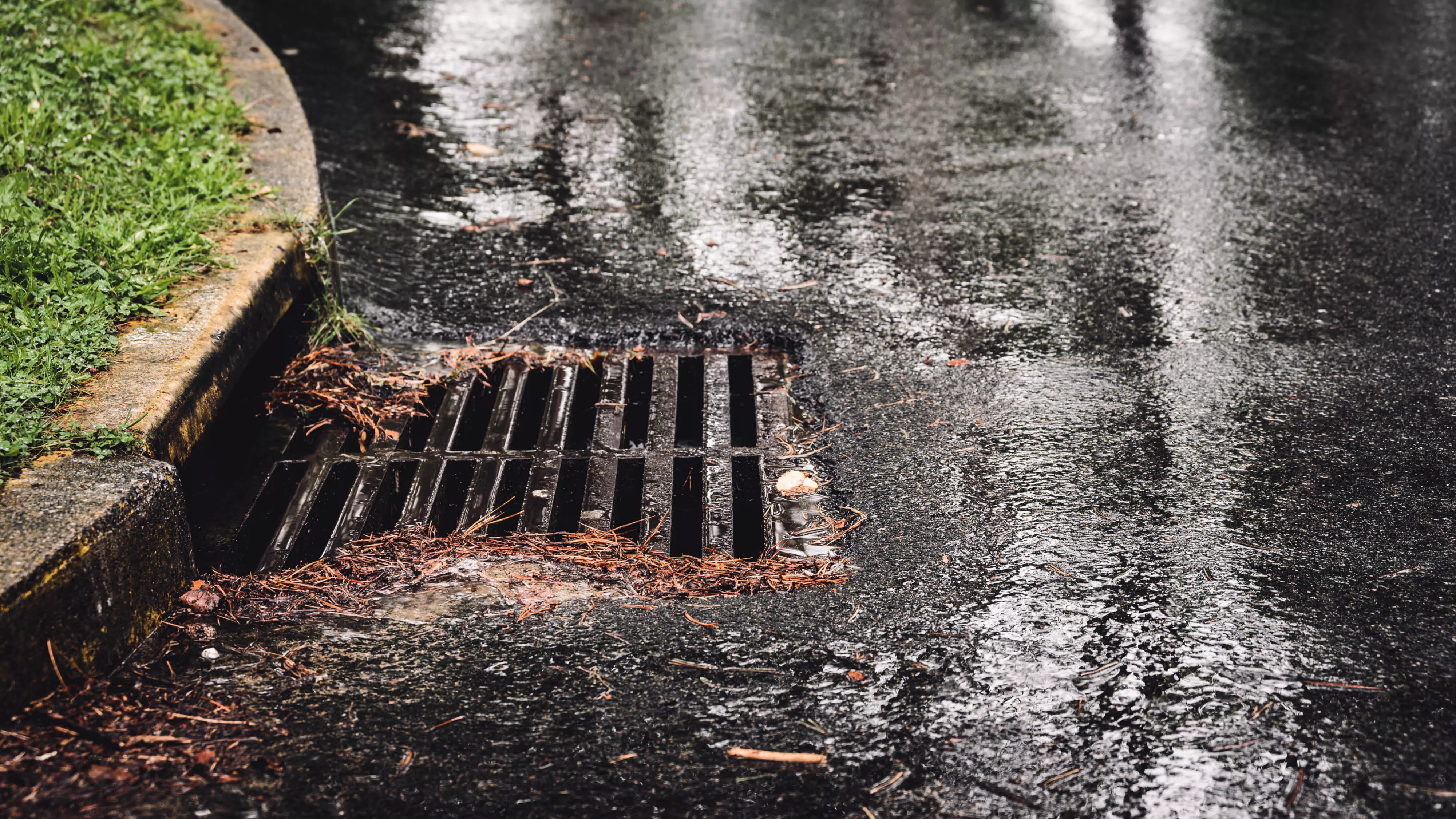 A catch basin on a rainy day