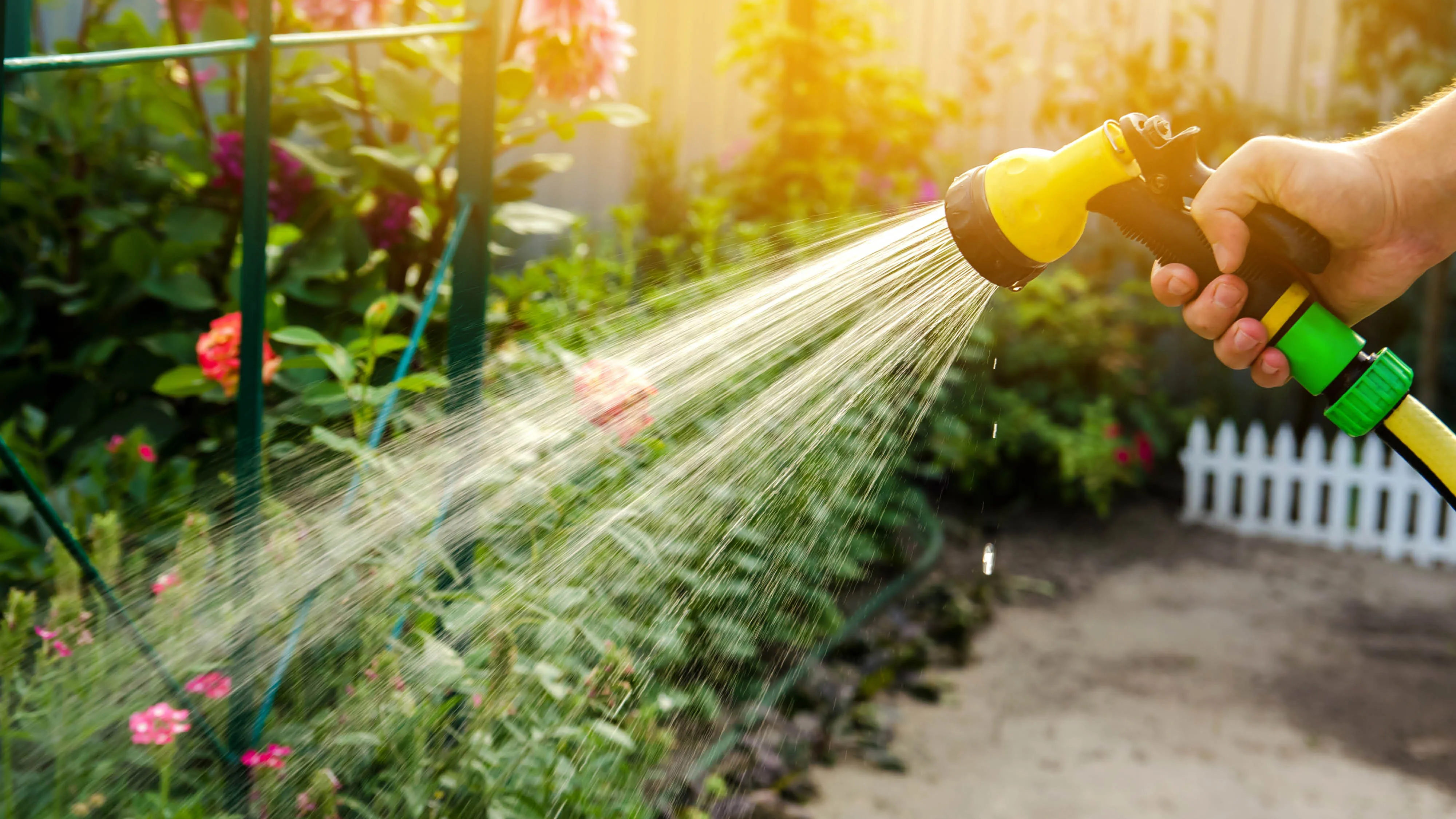 someone watering their garden with a hose