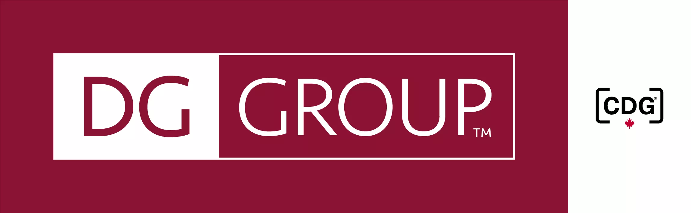 2025 DG Group Logo