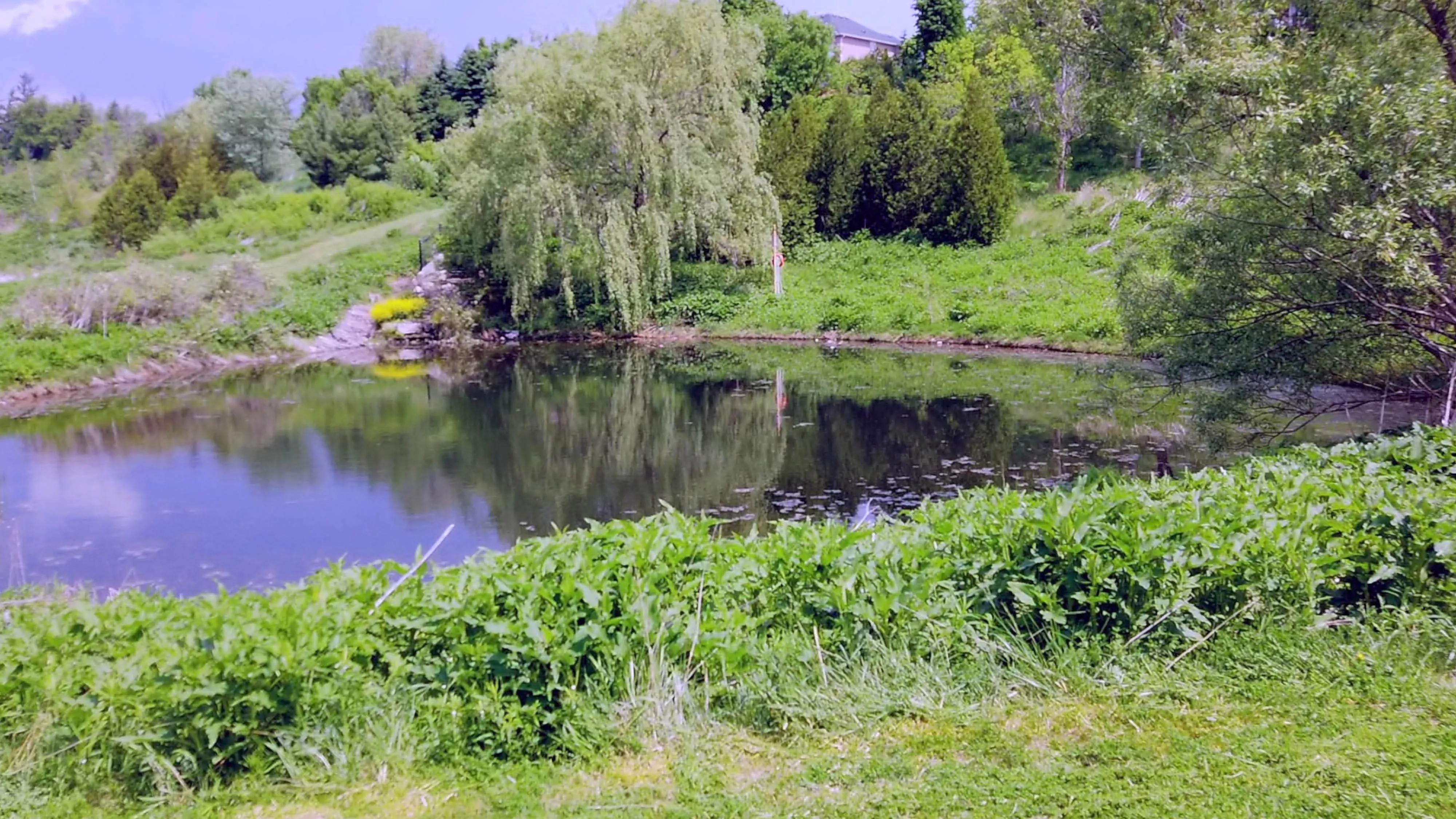 a stormwater pond