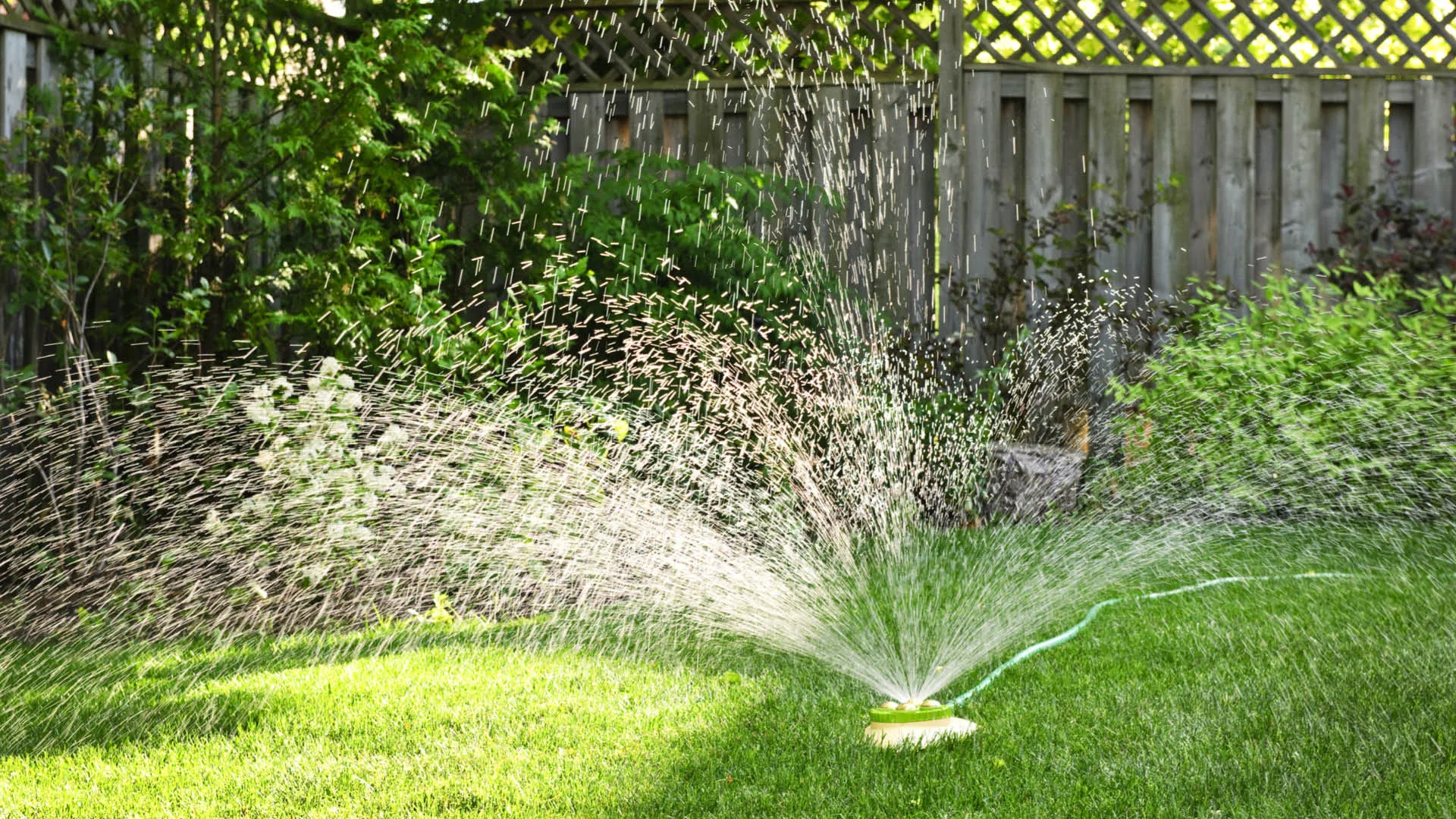 a sprinkler on a lawn