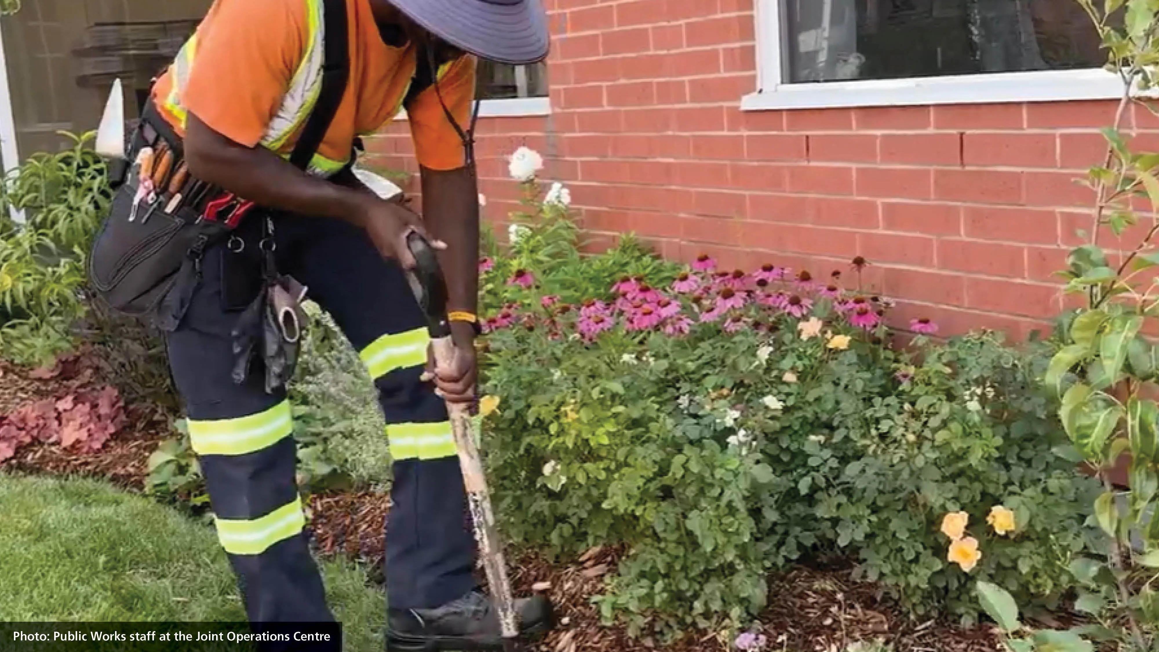 Ask a Gardener series 