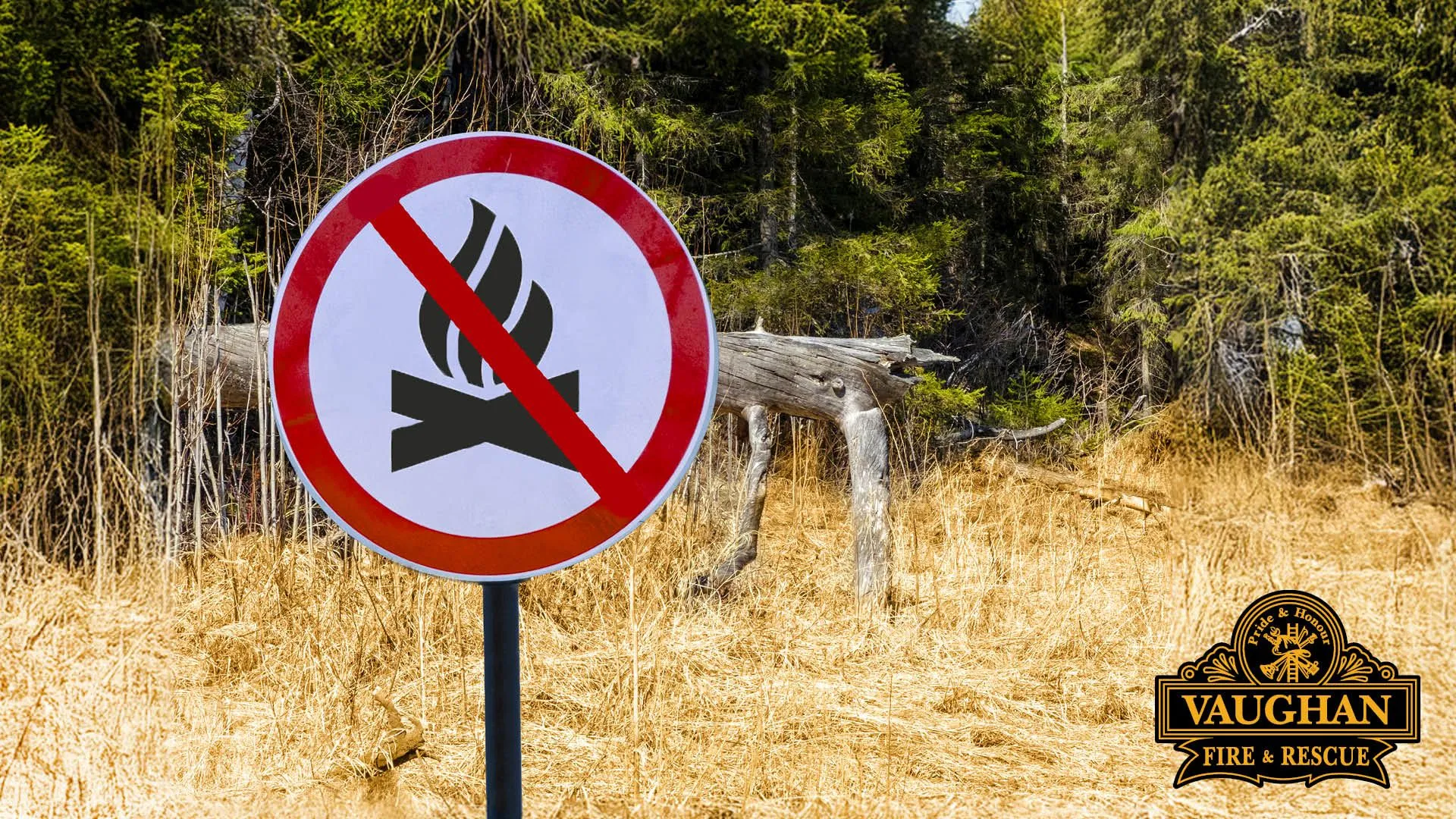 fire ban