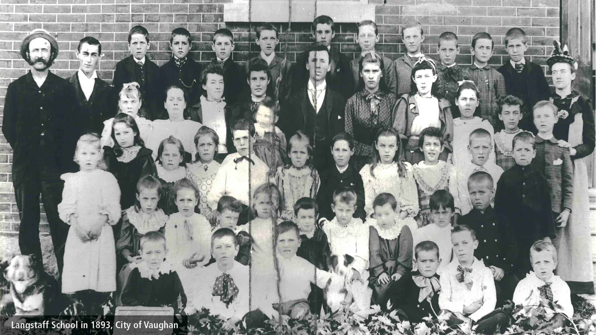 Langstaff school