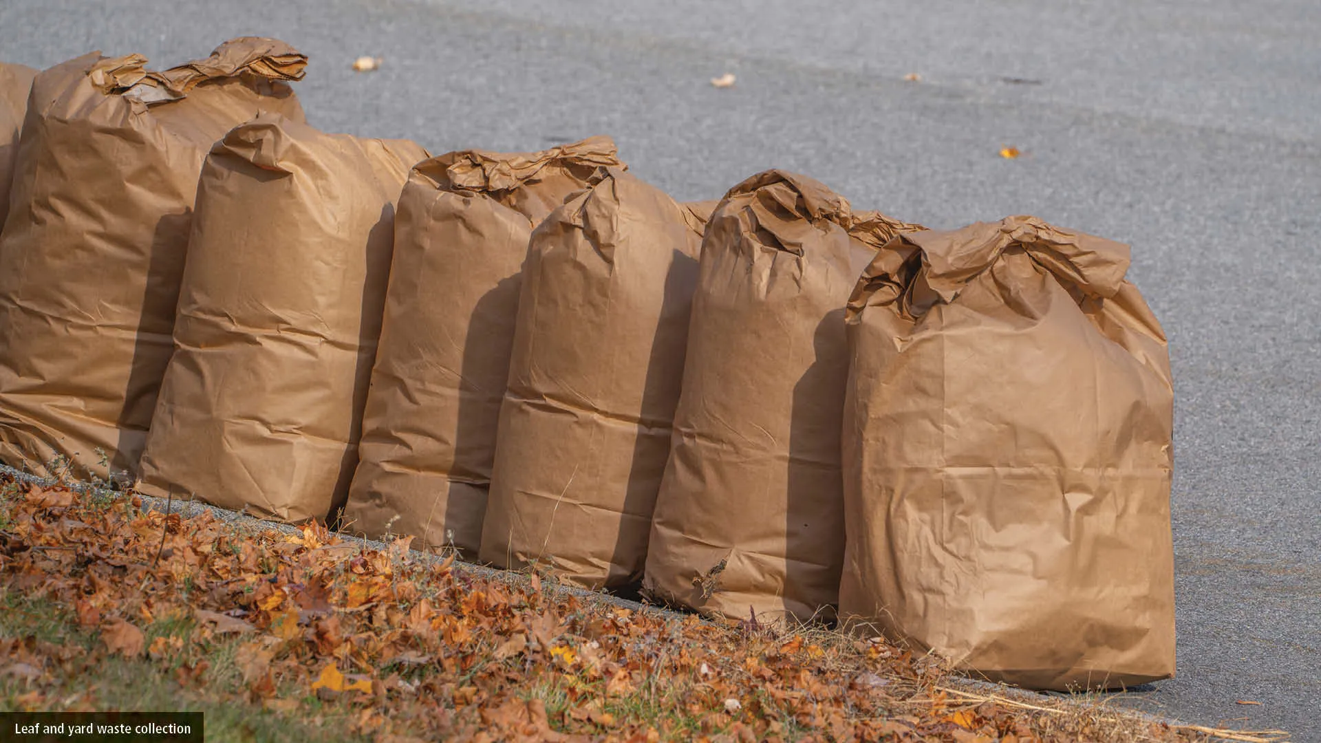 Kraft paper bags at the curbside